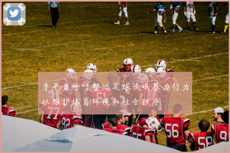 李平康呼吁整治足球流氓暴力行为以维护体育环境和社会秩序